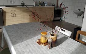 Apartmán v Anenském údolí