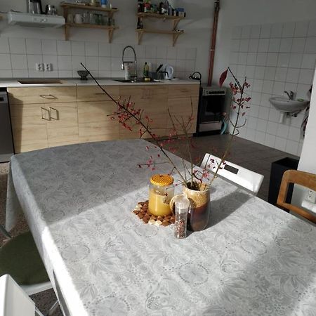 Apartmán v Anenském údolí Moravská Třebová Exteriér fotografie