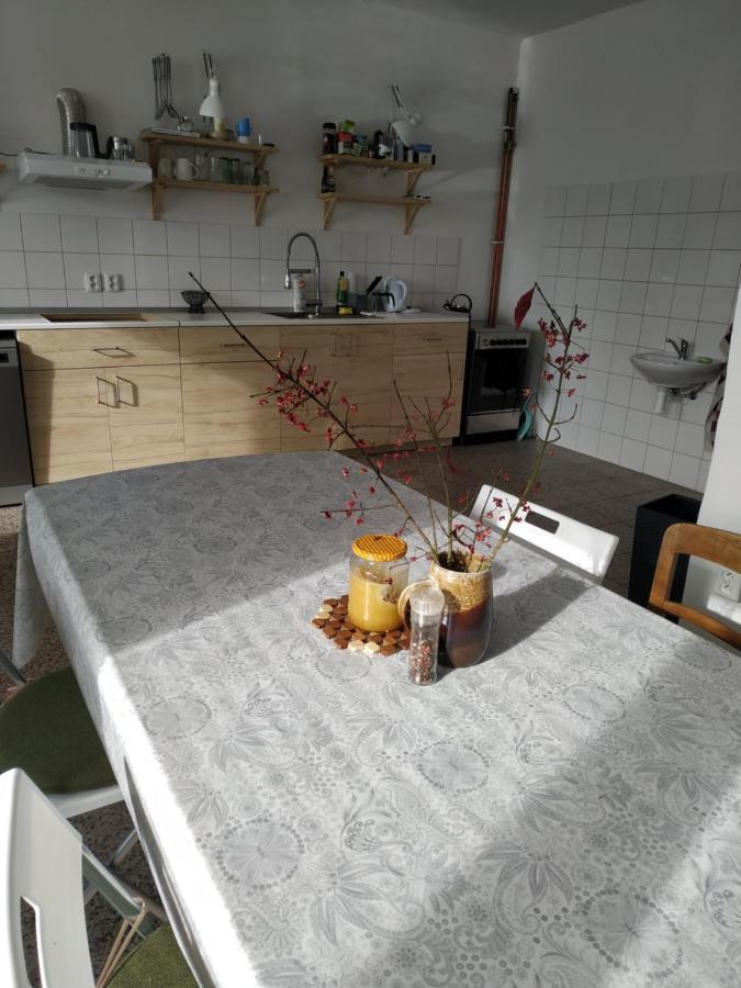 Apartmán v Anenském údolí Moravská Třebová Exteriér fotografie